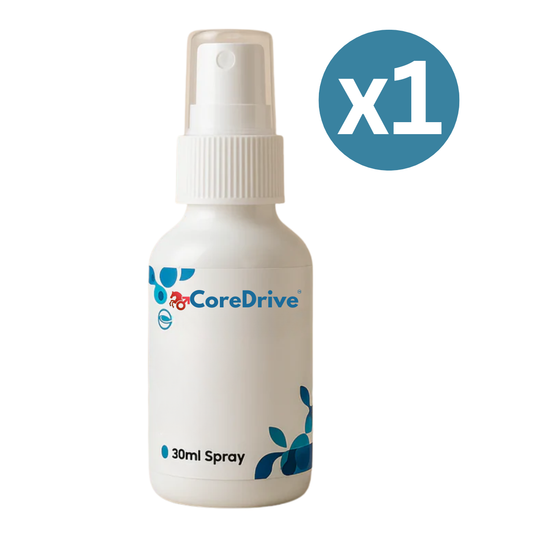 CoreDrive™