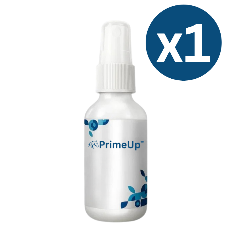 PrimeUp™